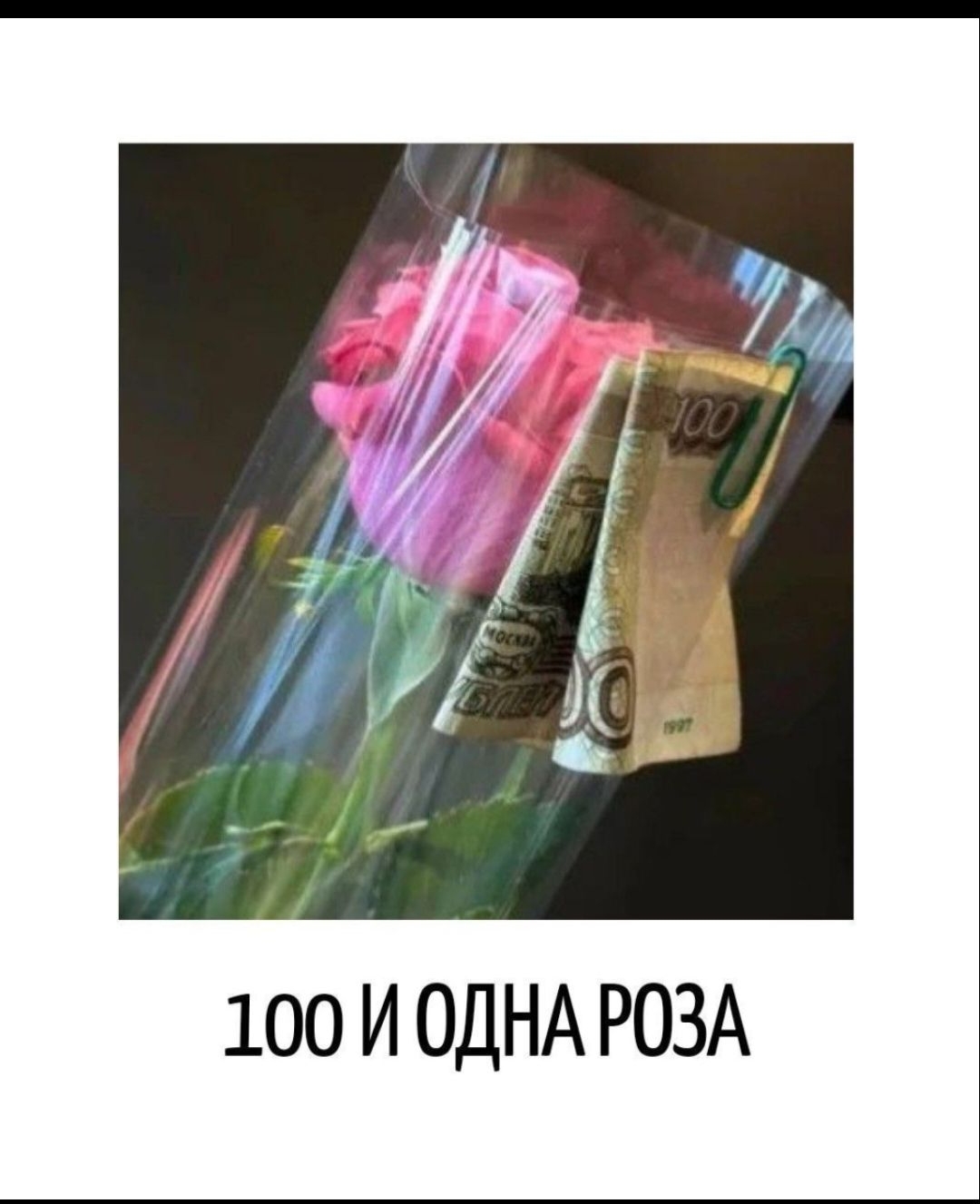 100 И ОДНА РОЗА