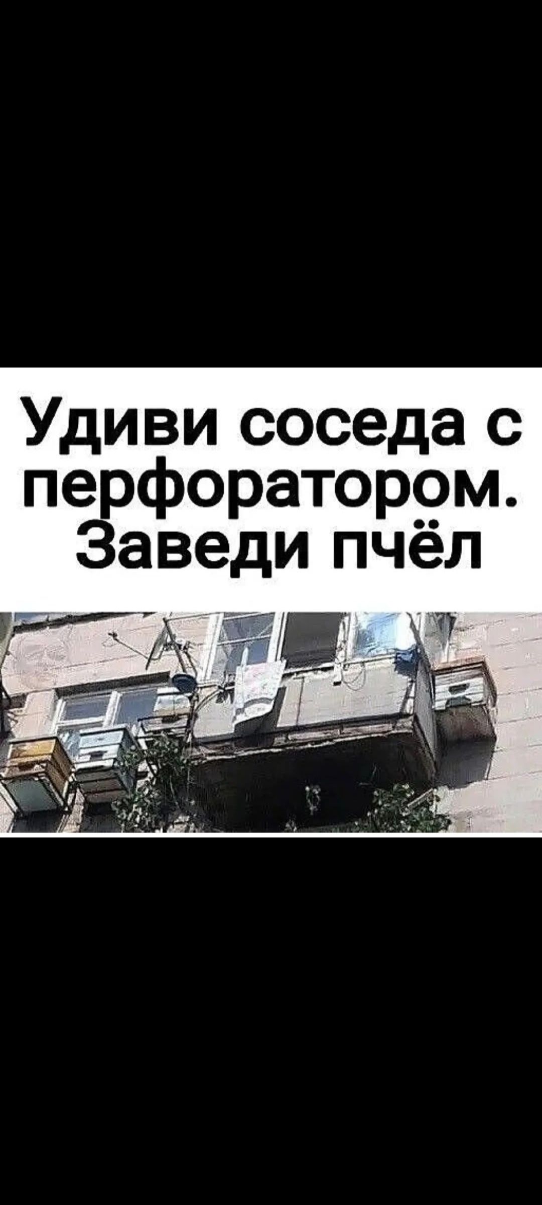 Удиви соседа с перфоратором. Заведи пчёл