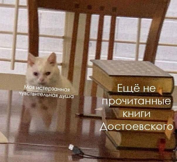 Моя истерзанная чувствительная душа
Ещё не прочитанные книги Достоевского