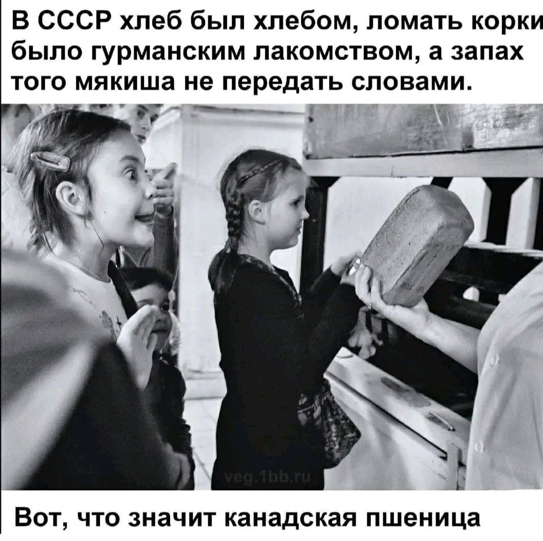 в СССР хлеб был хлебом, ломать корки было гурманским лакомством, а запах того мягиша не передать словами. Вот, что значит канадская пшеница