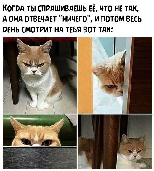 Когвд ты спрдшивдешь ЕЁ что не тАк А онд отвечдвт ничего и потом весь день смотрит нд ТЕБЯ вот тдк