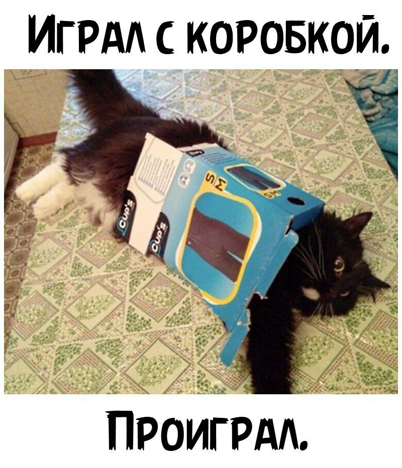 ИГРА С КОРОБКО и ПРОИГРАА