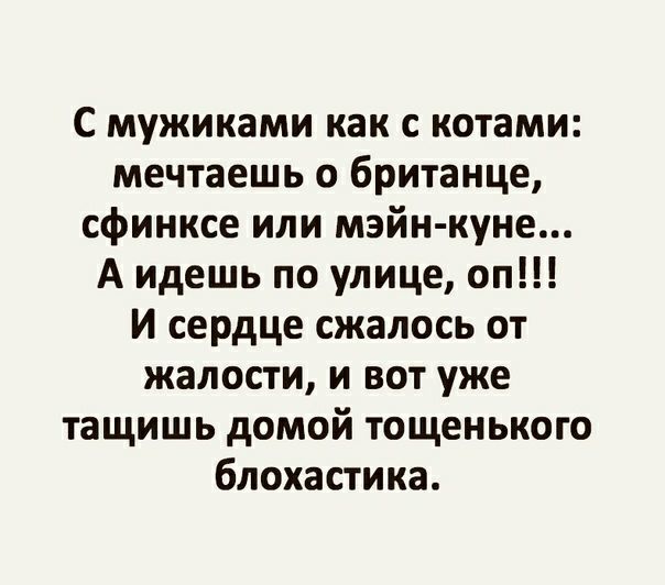 С мужиками как с котами мечтаешь о британце сфинксе или мэйн купе А идешь по улице оп И сердце сжалось от жалости и вот уже тащишь домой тощенького блохастика