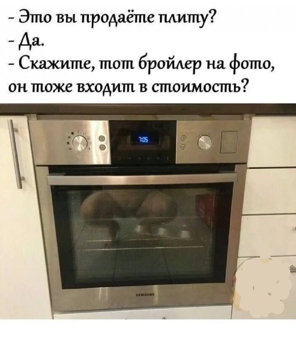 - Это вы продаёте плиту? - Да. - Скажите, тот бройлер на фото, он тоже входит в стоимость?