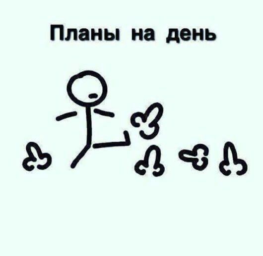 Планы на день