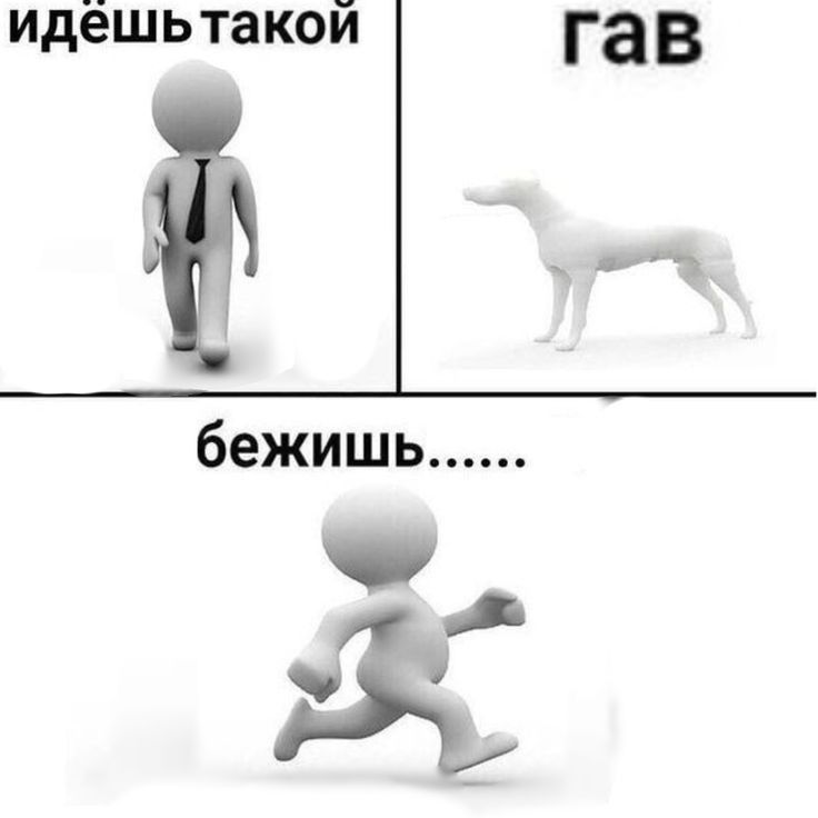 идёшь такой
гав
бежишь……