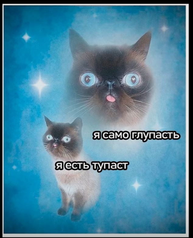 я само глупасть
я есть тупаст