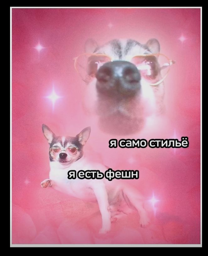 я само стильё
я есть фешн