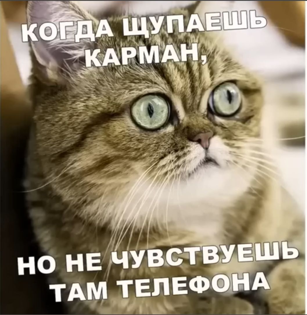 когда щупаешь карман,
но не чувствуешь там телефона