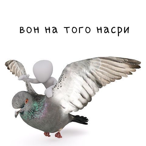 вон на того насри