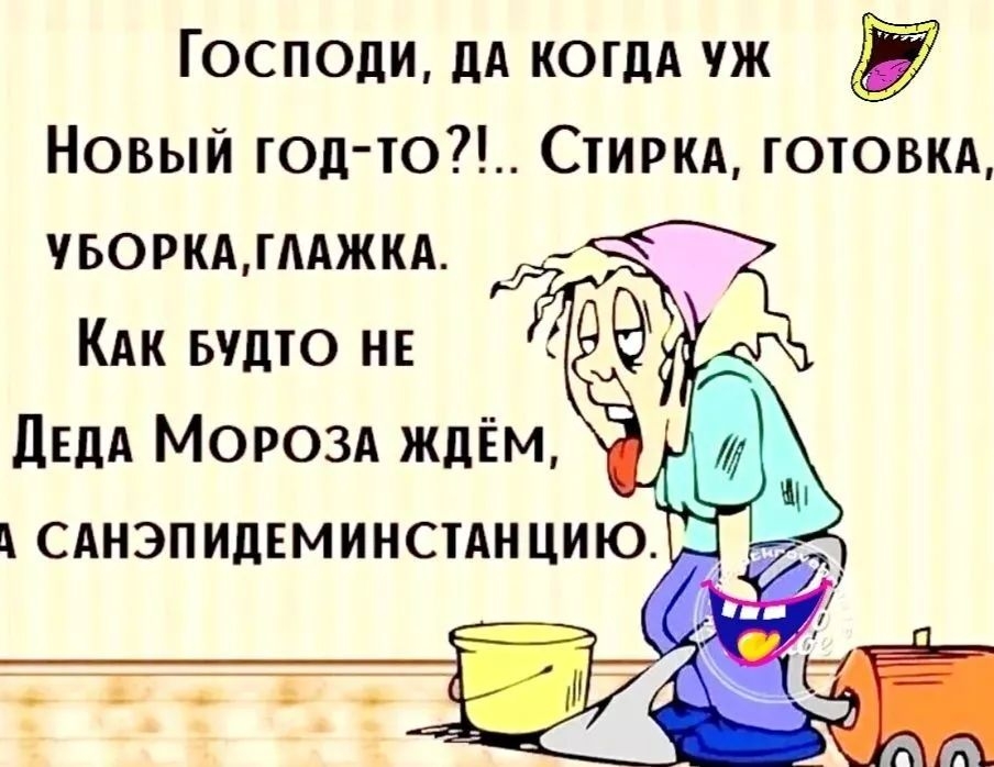 Господи, да когда уж Новый год-то?!... Стирка, готовка, уборка, глажка. Как будто не Деда Мороза ждём, а санэпидемстанцию.