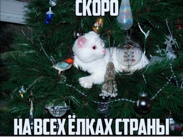 СКОРО\nНА ВСЕХ ЁЛКАХ СТРАНЫ
