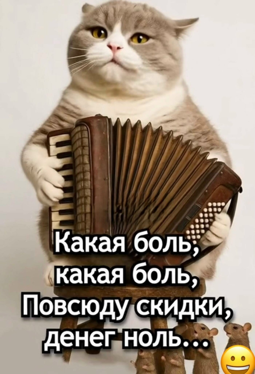 Какая боль, какая боль, Повсюду скидки, денег ноль...