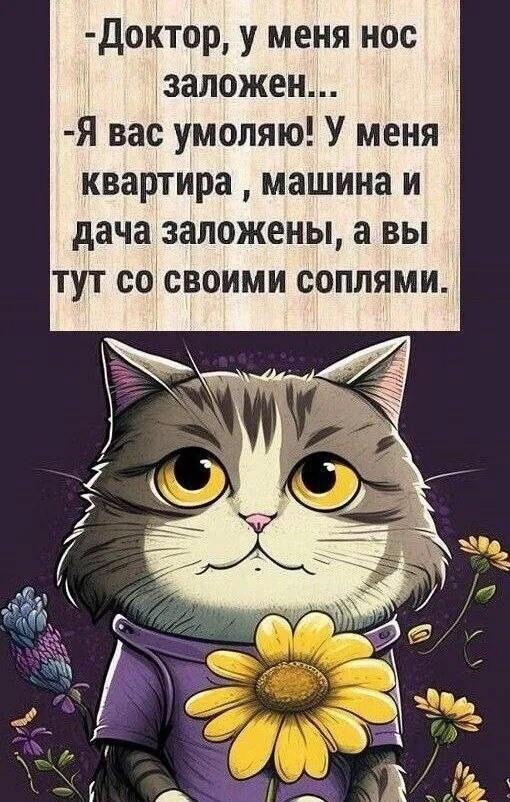 -Доктор, у меня нос заложен...\n-Я вас умоляю! У меня квартира , машина и дача заложены, а вы тут со своими соплями.