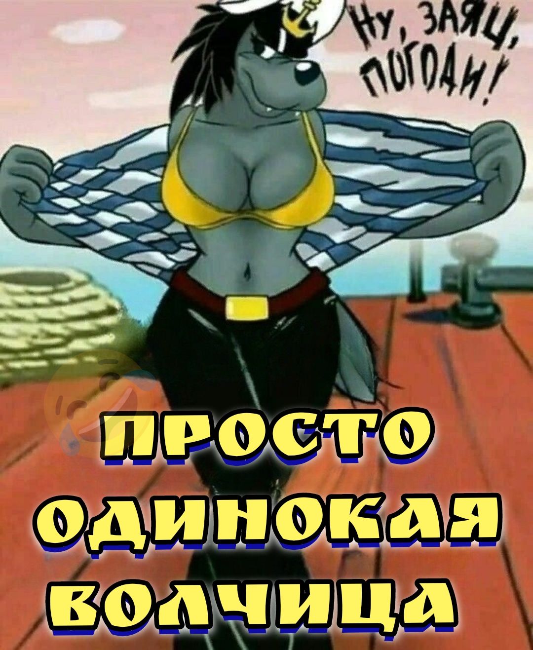 Ну, заяц, погоди! Просто одинокая волчица