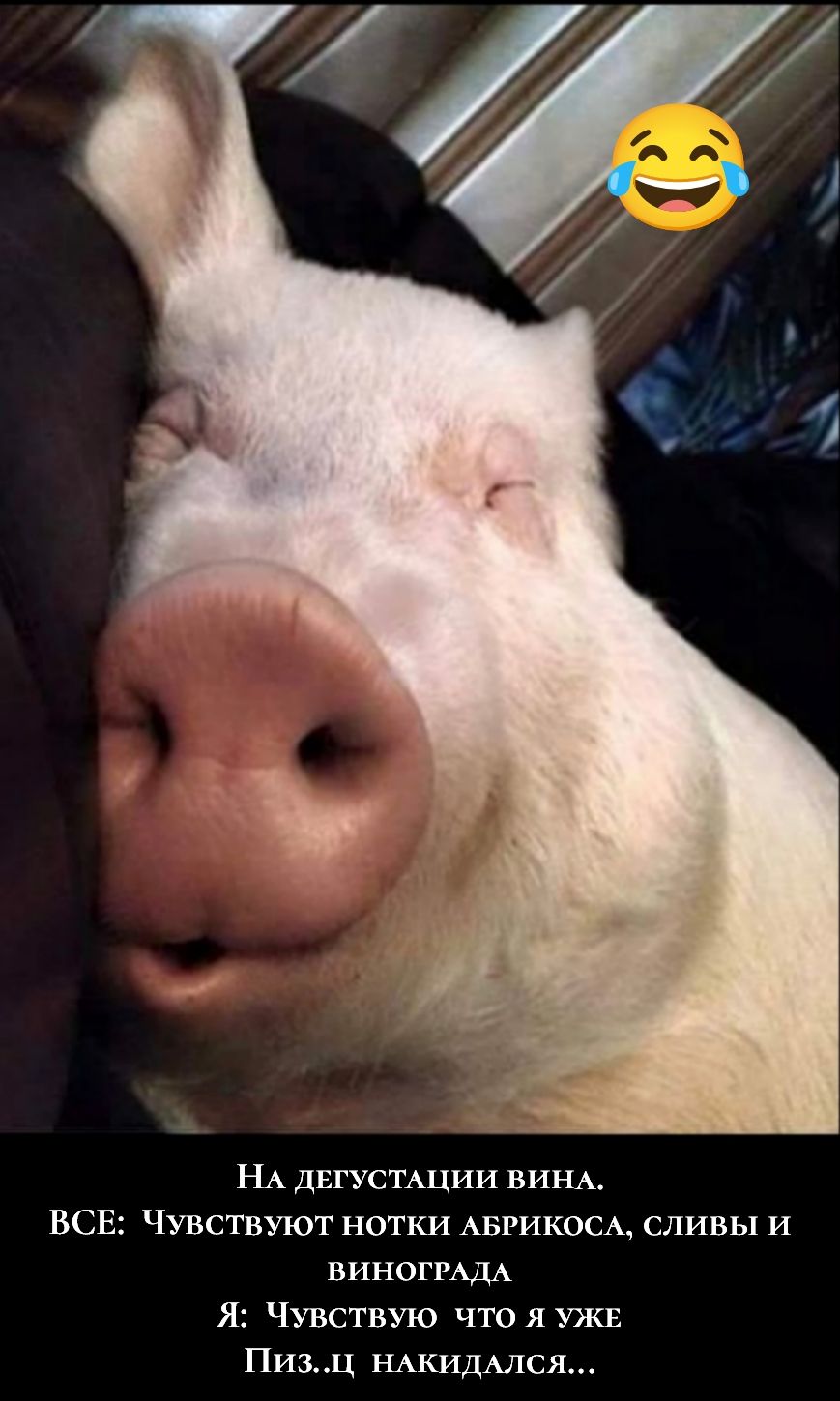 На дегустации вина. ВСЕ: Чувствуют нотки абрикоса, сливы и винограда. Я: Чувствую что я уже пиз..ц накидался...