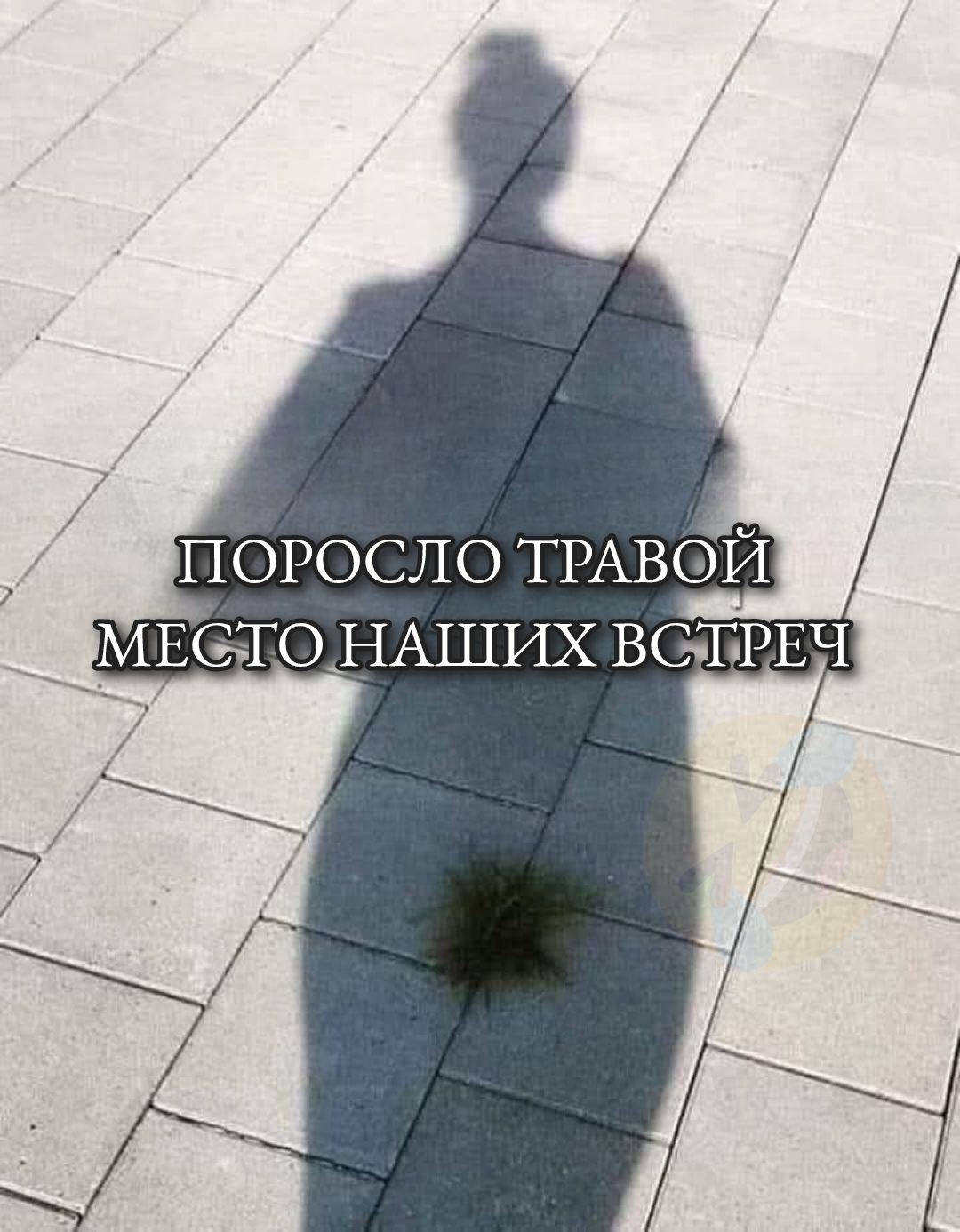 ПОРОСЛО ТРАВОЙ МЕСТО НАШИХ ВСТРЕЧ