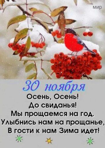 30 ноября Осень, Осень! До свиданья! Мы прощемся на год. Улыбнись нам на прощанье, В гости к нам Зима идет!