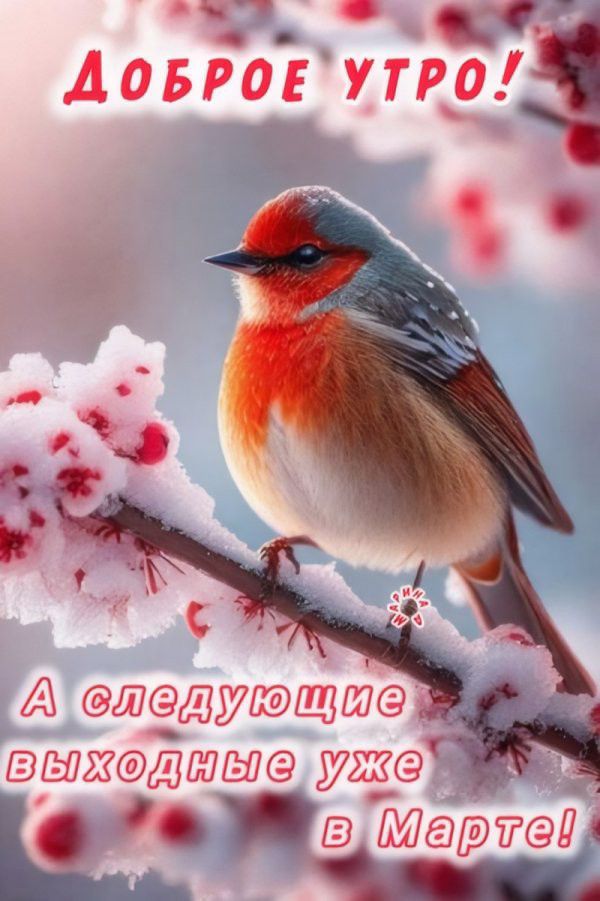 Доброе утро! А следующие выходные уже в Марте!