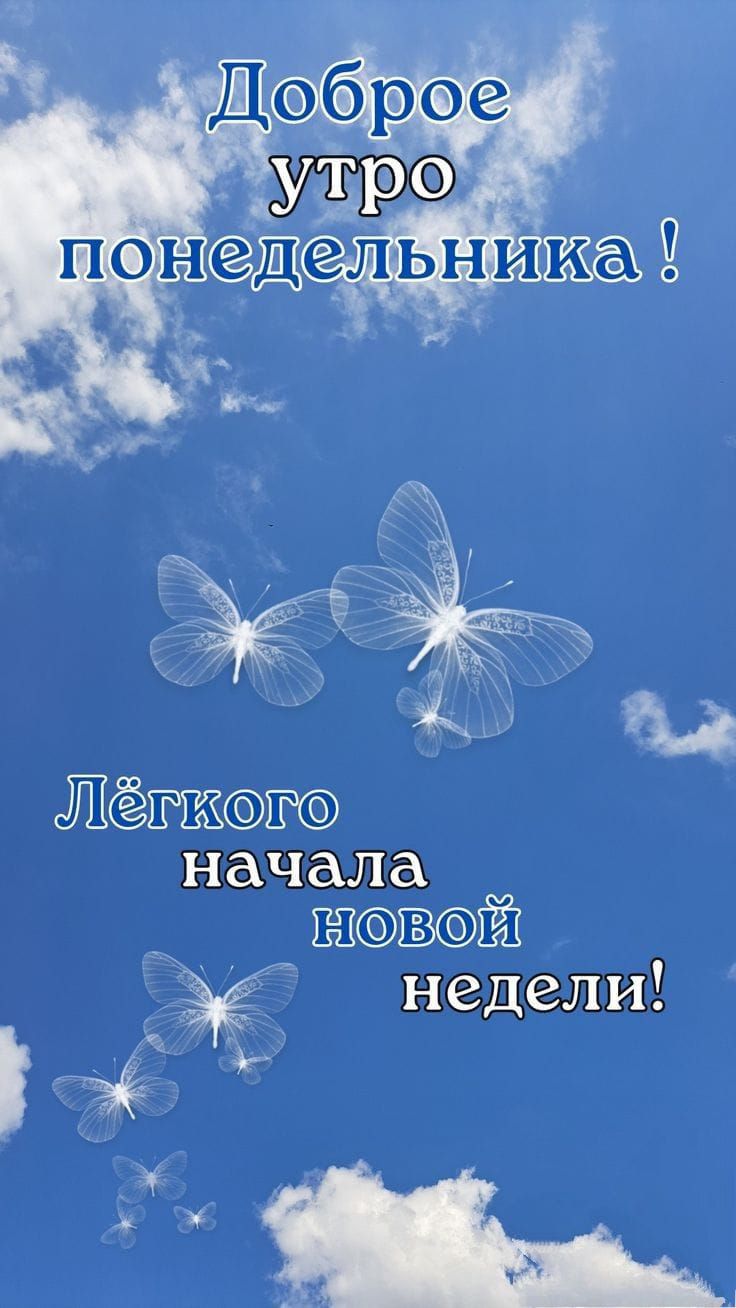 Доброе утро понедельника! Лёгкого начала новой недели!