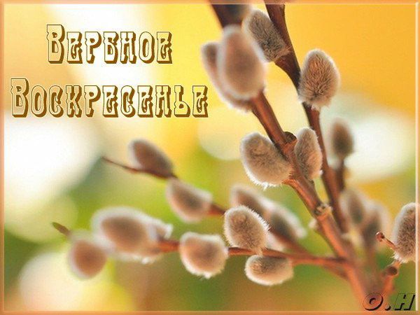 ВЕРБНОЕ ВОСКРЕСЕНЬЕ