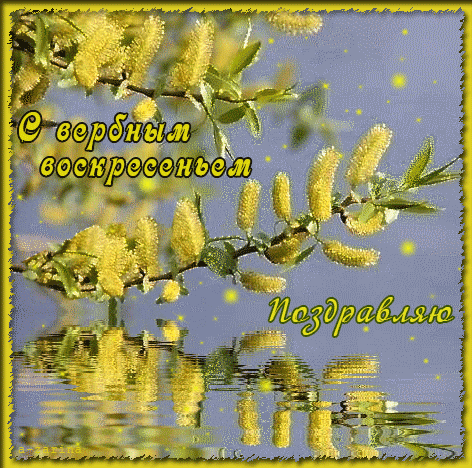 С вербным воскресеньем Поздравляю