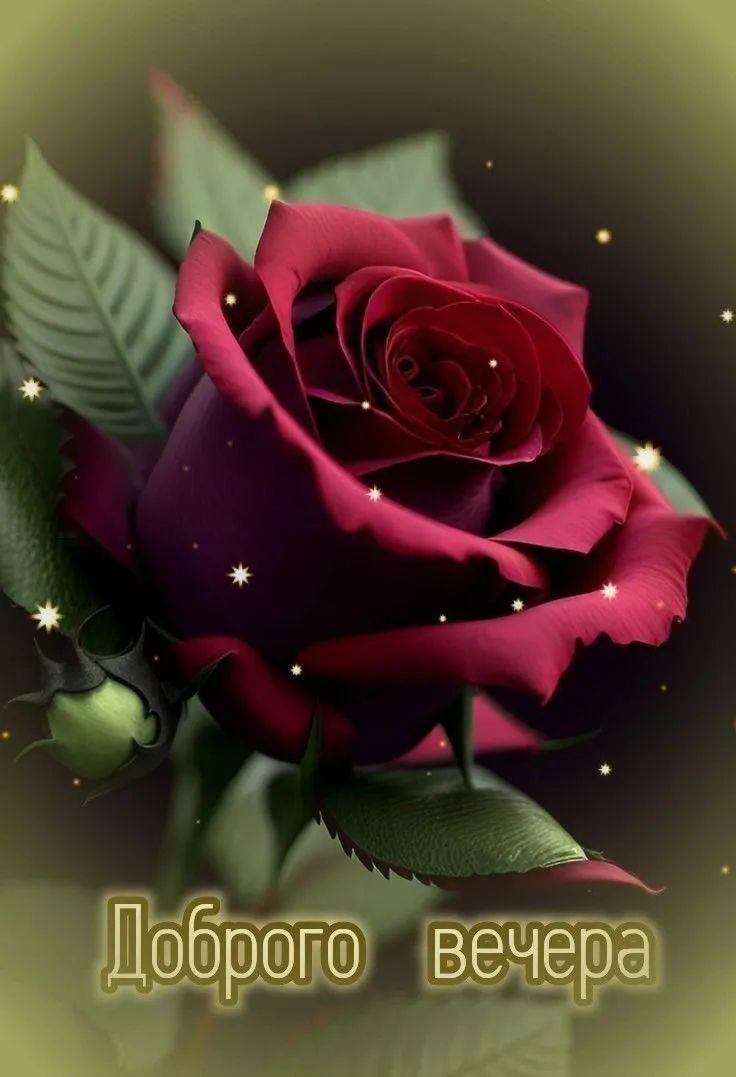 Доброе вечера