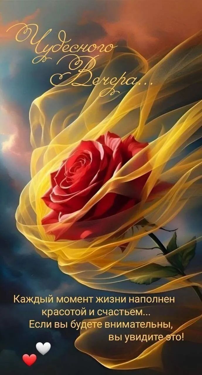 Чудесного вечера... Каждый момент жизни наполнен красотой и счастьем... Если вы будете внимательны, вы увидите это!