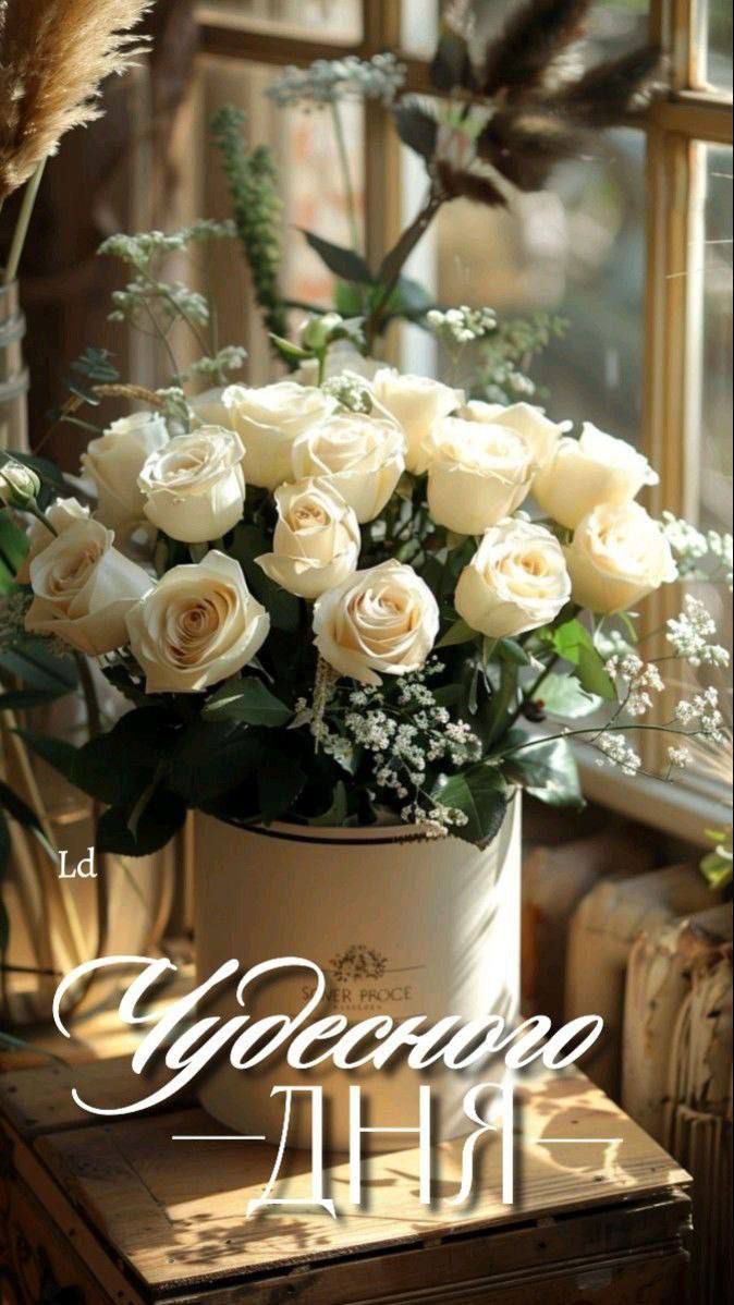 Уютного дня