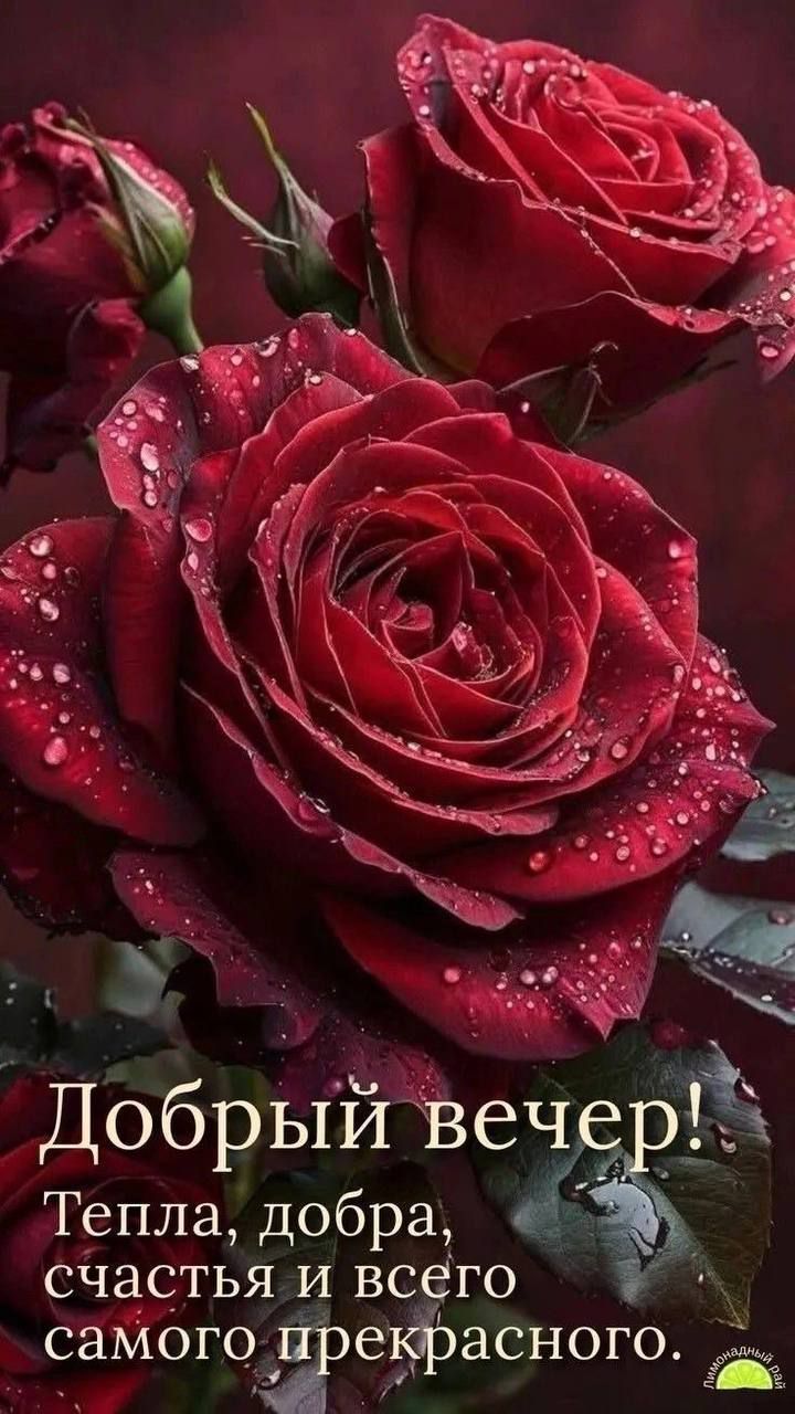 Добрый вечер! Тепла, добра, счастья и всего самого прекрасного.