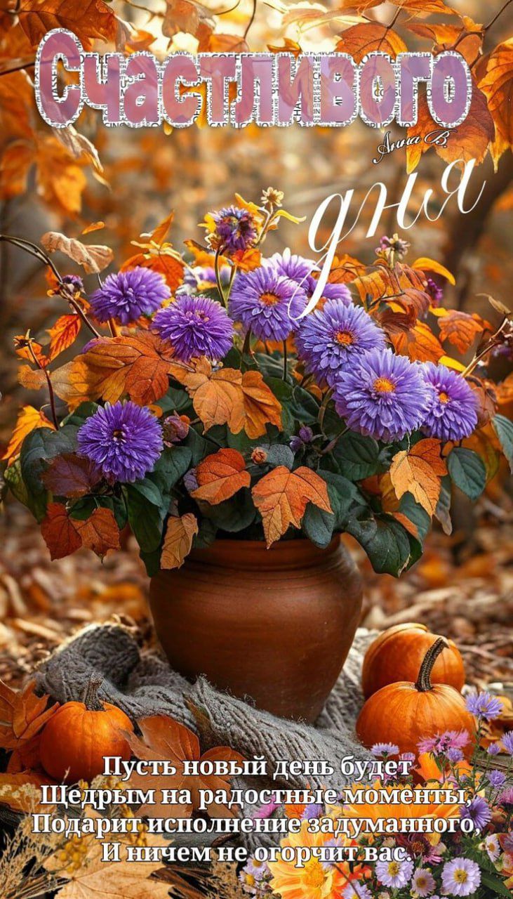 Счастливого дня. Пусть новый день будет щедрым на приятные моменты, подарит исполнение задуманных и ничем не огорчит вас