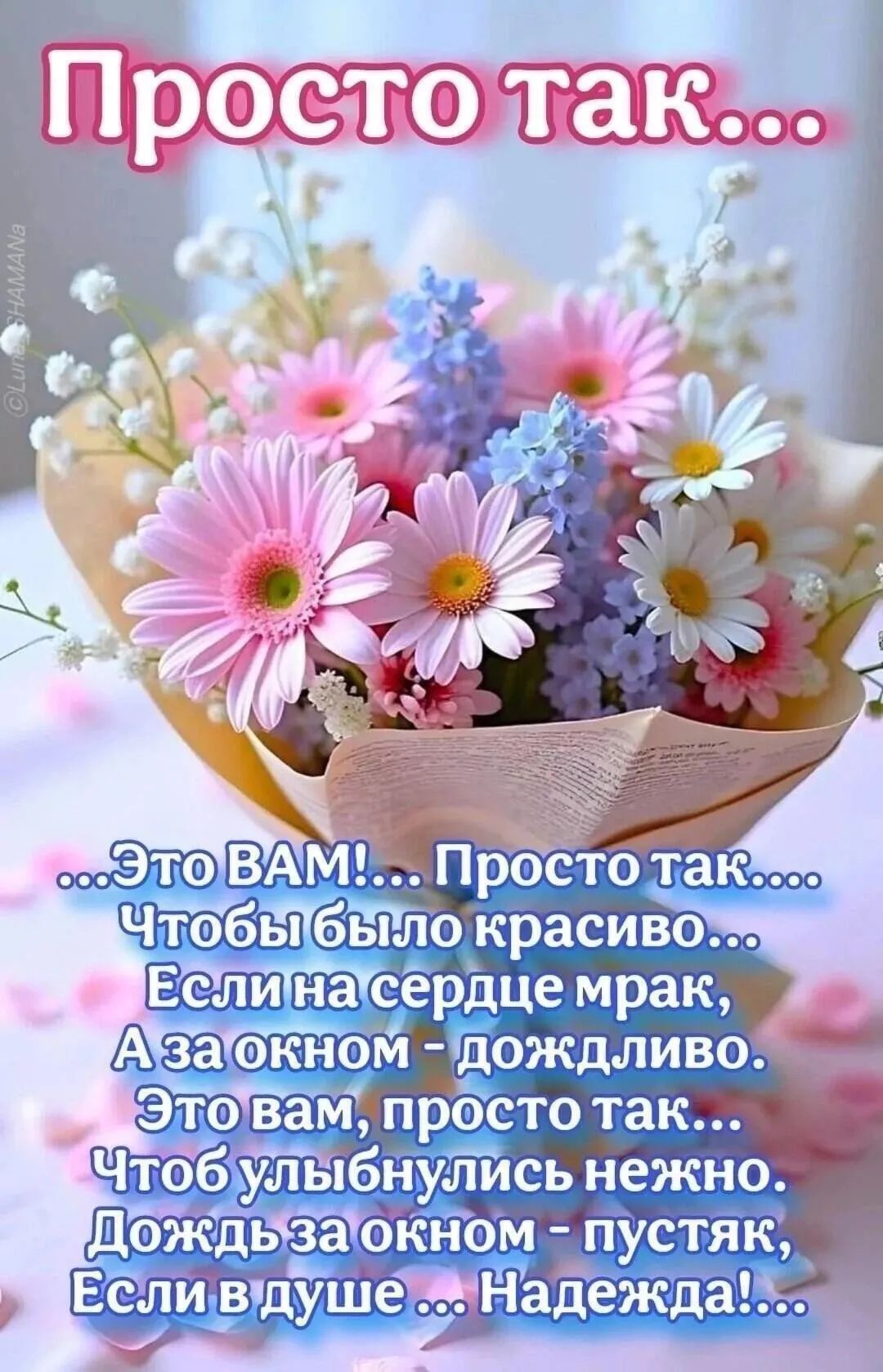 Просто так... Это ВАМ! Просто так... Чтобы было красиво... Если на сердце мрак, А за окном — дождливо, Это вам, просто так... Чтобы улыбнулись нежно.. Дождь за окном - пустяк, Если в душе ... Надежда!...