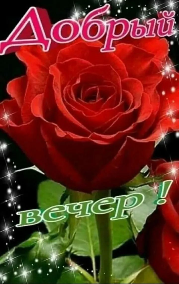 Добрый вечер!