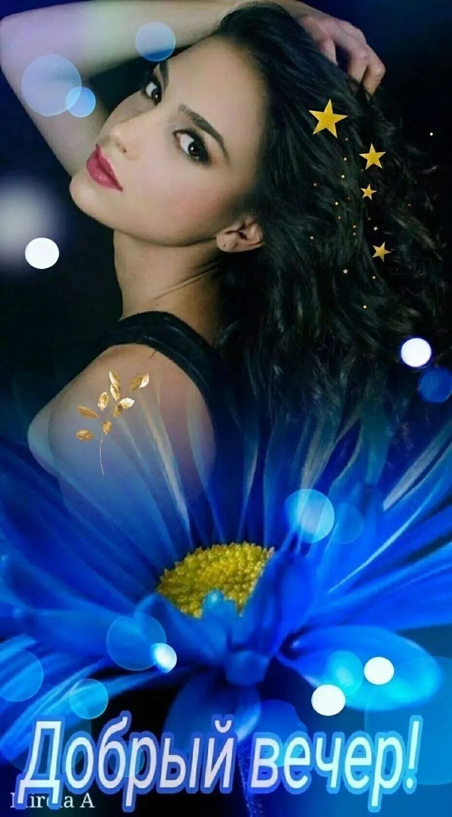 Добрый вечер!