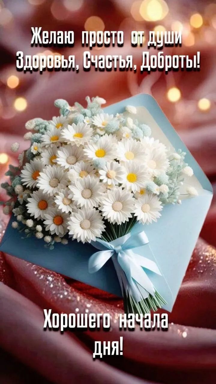 Желаю просто от души\nЗдоровья, Счастья, Доброты!\nХорошего начала дня!