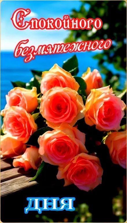 Спокойного безмятежного дня