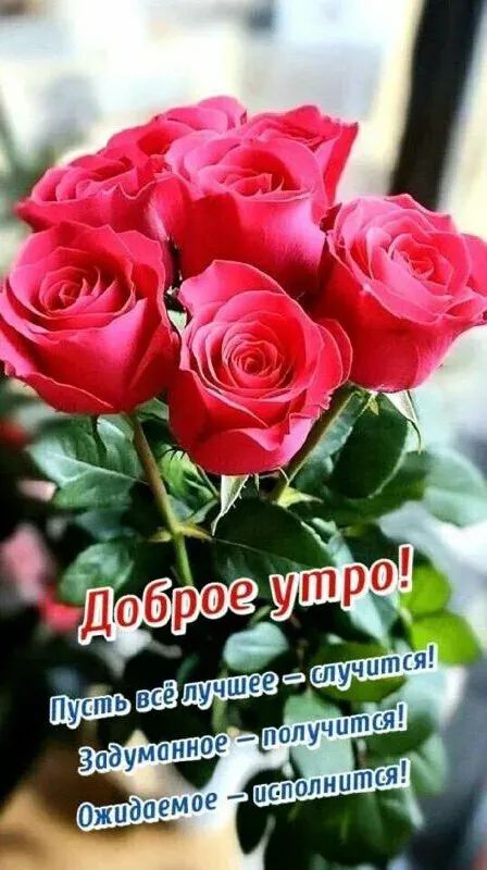 Доброе утро! Пусть всё лучшее — случится! Задуманное — получится! Ожидаемое — исполнится!