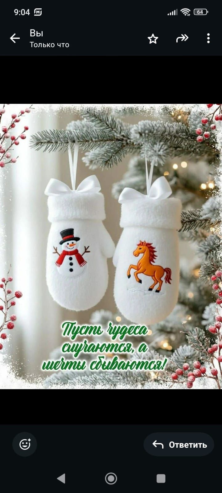 Пусть чудеса случаются, а мечты сбываются!