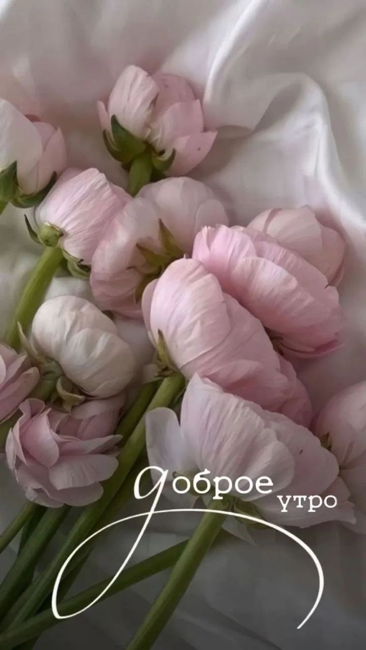 Доброе утро