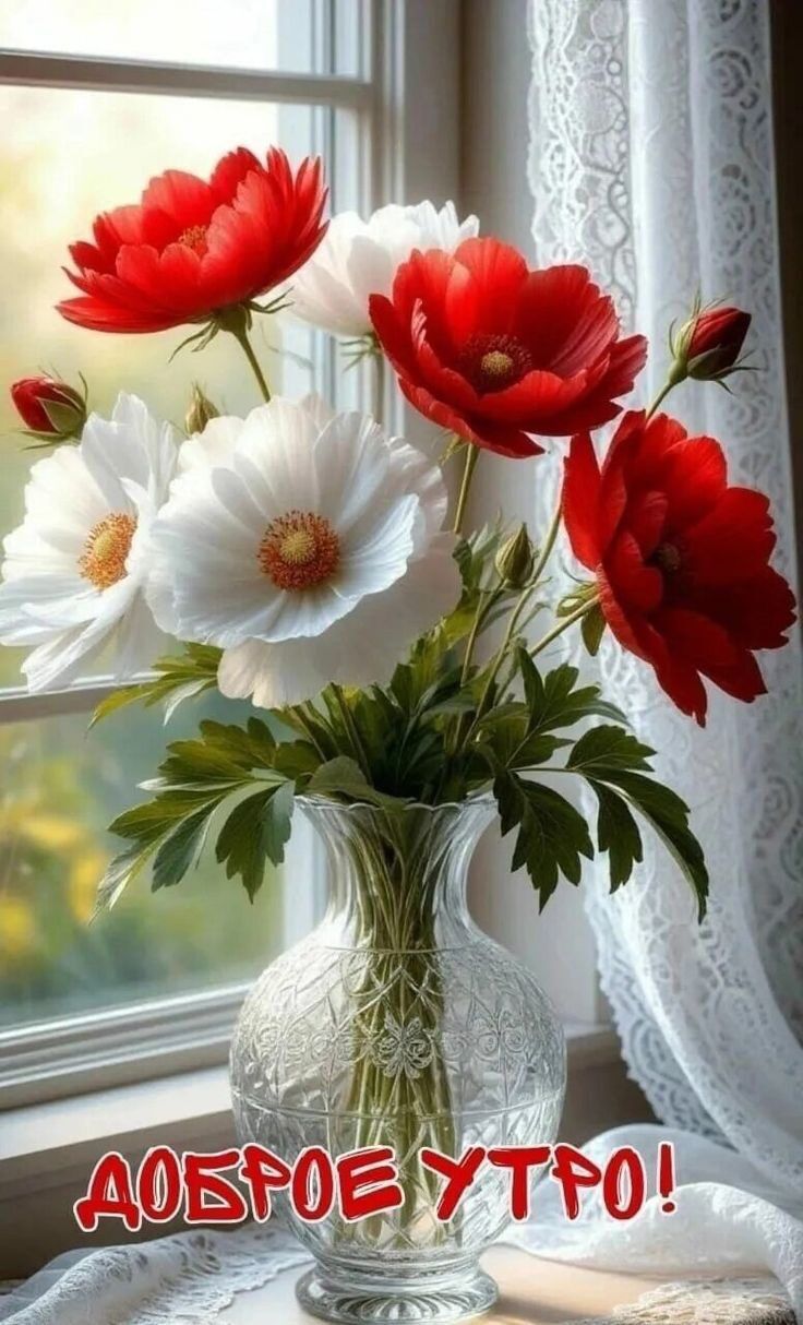 Доброе утро!