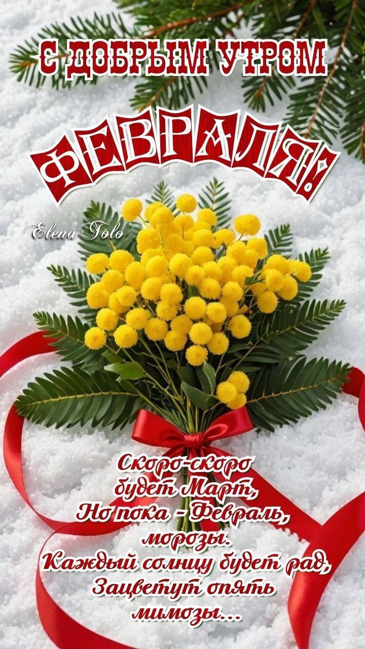 С ДОБРЫМ УТРОМ ФЕВРАЛЬ!