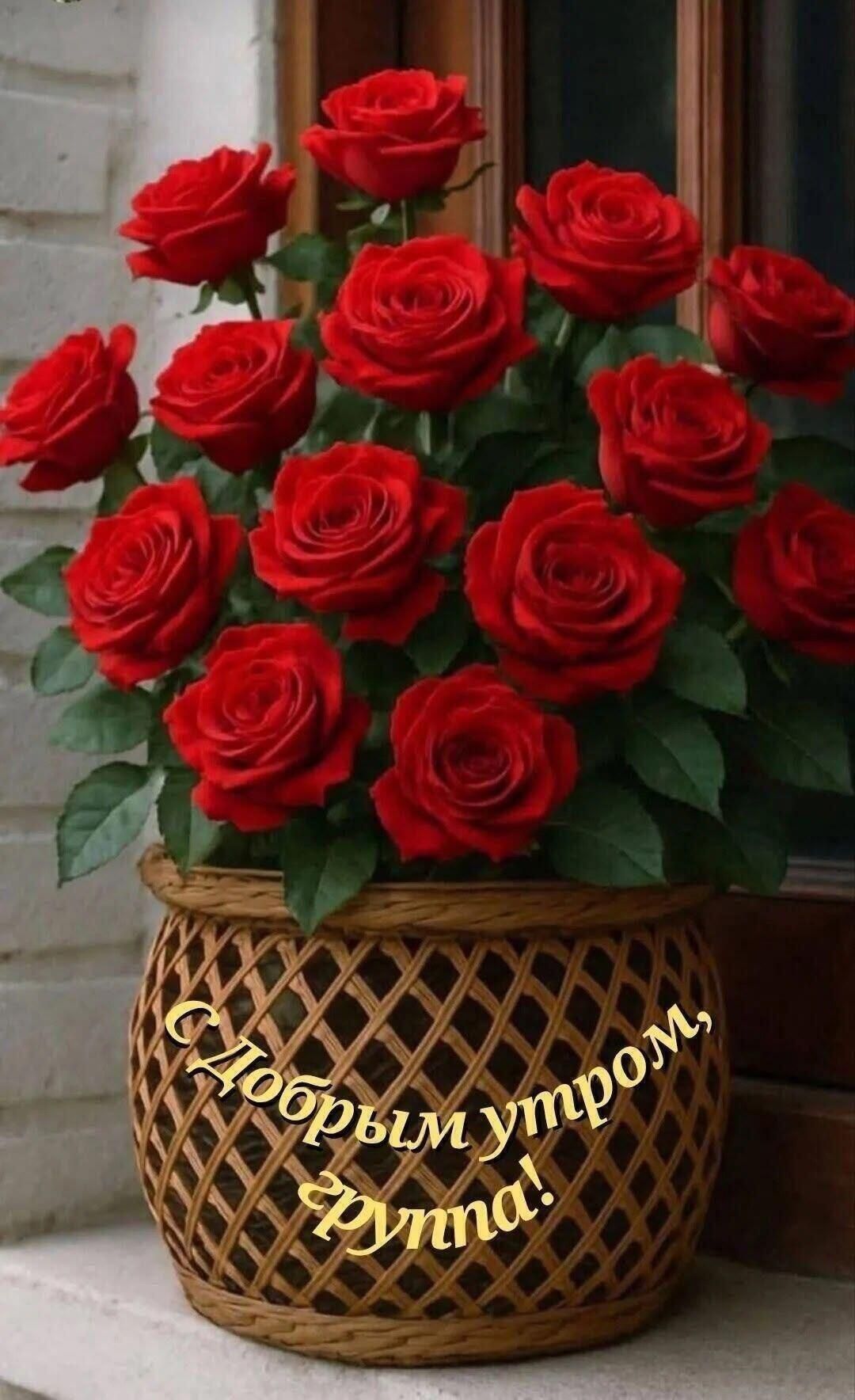 С добрым утром, группа!