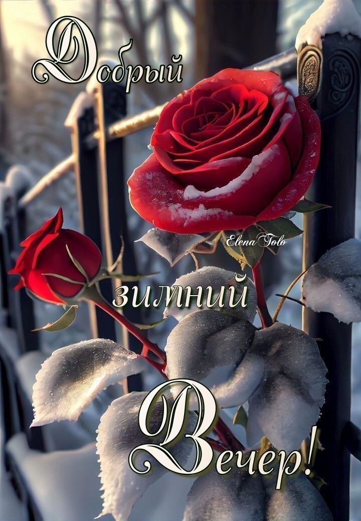 Добрый зимний вечер! Elena Tolo