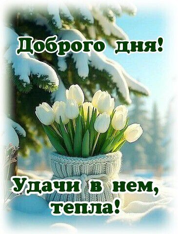 Доброго дня! Удачи в нем, тепла!