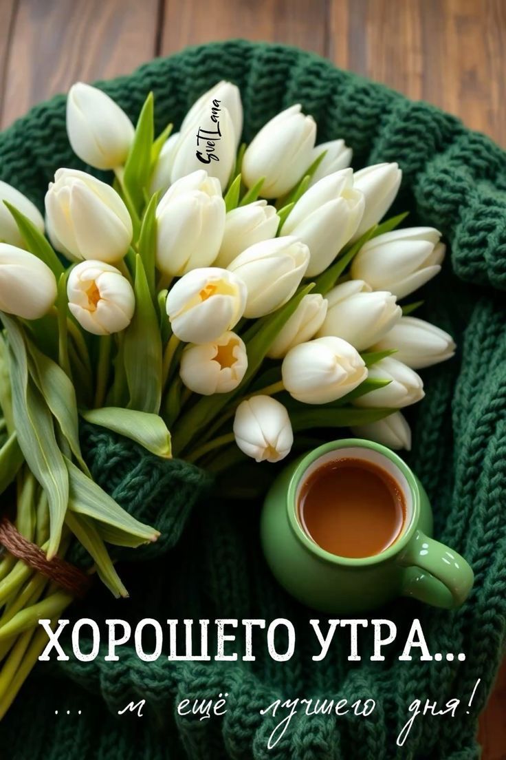 ХОРОШЕГО УТРА... ещё лучшего дня!
