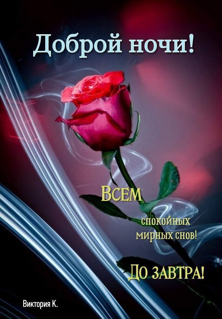 Доброй ночи! ВСЕМ спокойных мирных снов! До завтра! Виктория К.