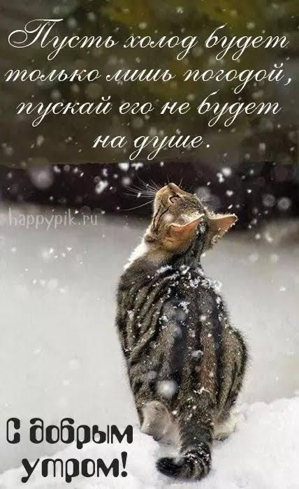 Пусть холод будет только лишь погодой, пускай ее не будет на душе. С добрым утром!