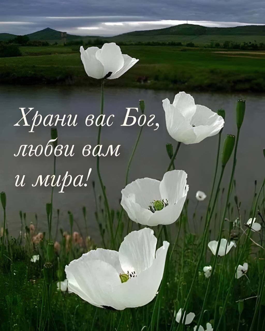 Храни вас Бог, любви вам и мира!