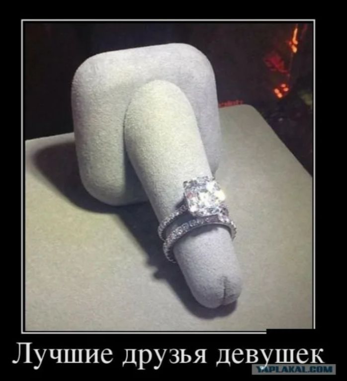 Лучшие друзья девушек