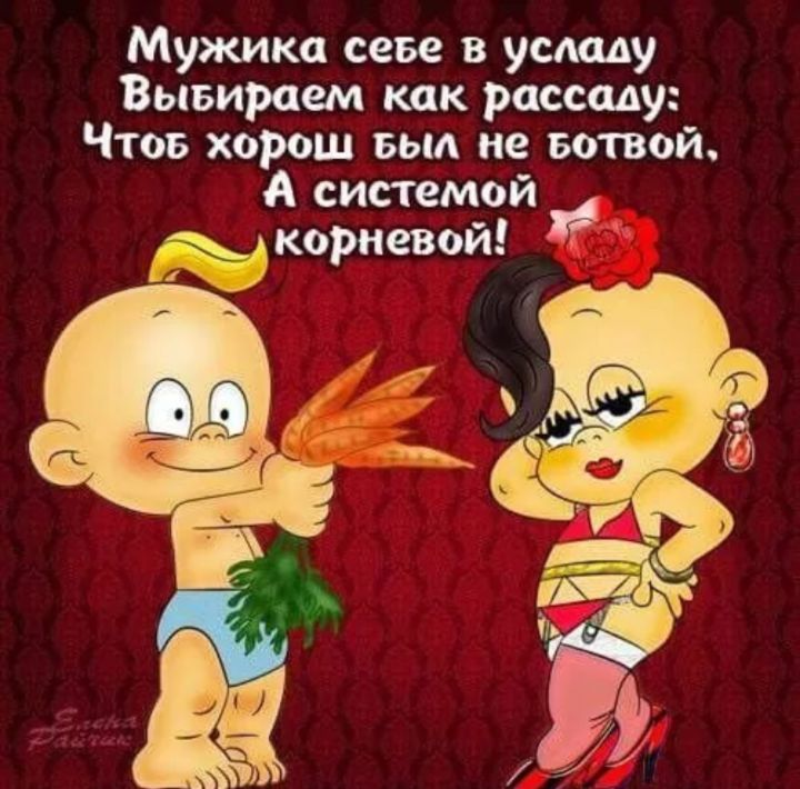 Мужика себе в усладу Выбираем как рассаду: Чтобы хорош был не ботвой, А системой корневой!